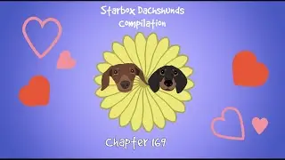Starbox Dachshunds Compilation Chapter 178