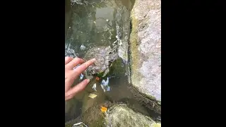 (336) Waterfall KTPH - White Noise