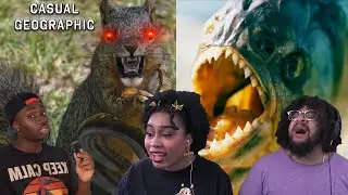 Top 10 Most Criminally Misunderstood Animals | Casual Geographic REACTION