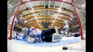 Fischtown Pinguins ( Rev Bremerhaven )
