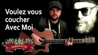 Voulez vous coucher avec moi - Fingerstyle with Gitarin / Aquarium