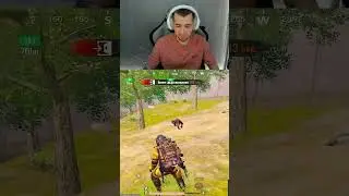 Что собака тут забыла? Это БАГ или Фича?