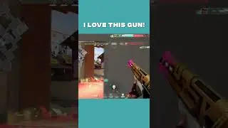I Love This Gun!