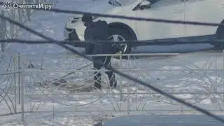 Сибирский газонокосильщик (Ландшафтный дизайн)