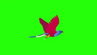 Green Screen Bird Flying Animation || 2D Animation || Copyright Free