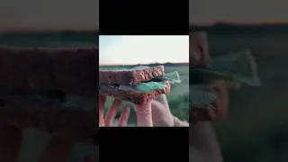 Пикник на обочине