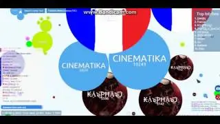 Немного Чашечки ПЕТРИ PETRIDISH #1