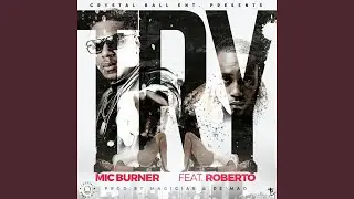 Try (feat. Roberto)
