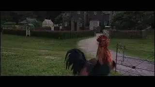 güneş yine mi doğdu 🐓 vay be