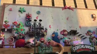 Cortylandia 2016/2017