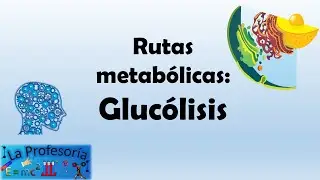 Rutas metabólicas: Glucólisis