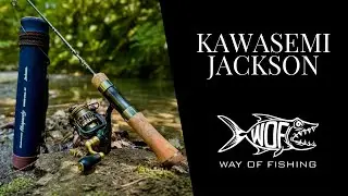 Présentation de la Kawasemi Rhapsody de Jackson