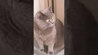 #ily😻