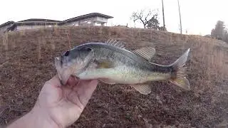 Snatched this one clean out of the water!