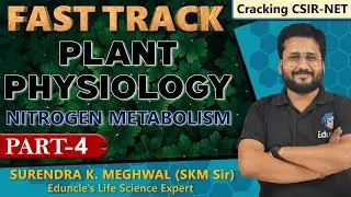 Nitrogen Metabolism (Plant Physiology) with the Basics, Part 4