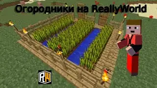 Огородники на RW