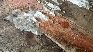 снегоход Буран 4тд перестал дергаться.