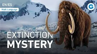 Mammoths - Giants of the Ice Age