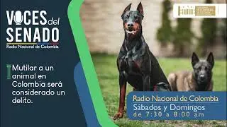 Protección a los animales I #VocesDelSenado 22 de abril