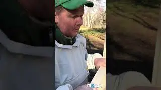 улей Городецкий ликбез
