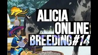 Alicia Online Breeding ｜Breeding Compilation #14