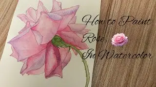 How to Paint  Realistic Rose  in Watercolor  for Beginners |@ArtandcraftbyShakira