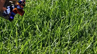Speedrunning Doors to touch Grass