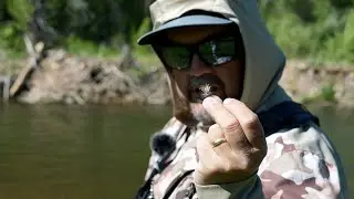 What Happens When You Mix Up Your Fly Fishing Techniques? - Fly Fishing Trip Vlog