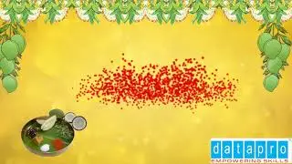 Ugadi Special offers at Datapro