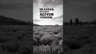 Hirai Zerdüş Ne kadar acıyor yüreğim