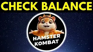 How To Check Your Balance On Hamster Kombat