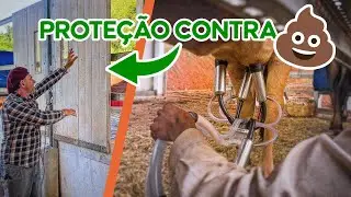 Quase pronta e já operante! Manejando a nova SALA DE ORDENHA 🐄🥛🥛