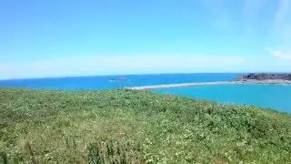 Coffs harbor Muttonbird island