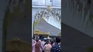 Saat kang Emil Kasep dan Neng #geulis #ataliakamil hadiri resepsi Kaesang Erina di #solo #shorts