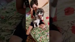 жена изменяет с кавказцем это просто жесть 