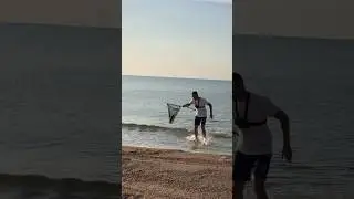 Ловля пеленгаса на море 🔥