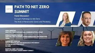 Path to Net Zero Summit  - Speeding Up Renewable Energy Permitting in Europe