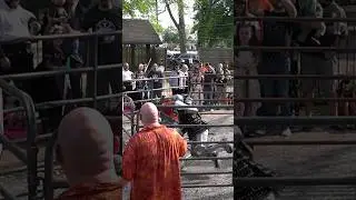 He YEETED ME 🤣⚔️💪 #buhurt #medievalmma #medievalcombat