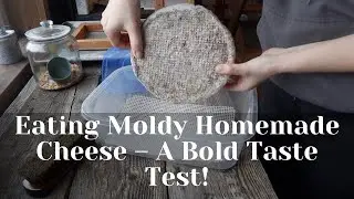 How Different Aging Methods Affect Homemade Cheese – Taste Test!