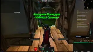 Профессии в BFA для новичков