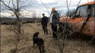 Объезд территории ОФ 