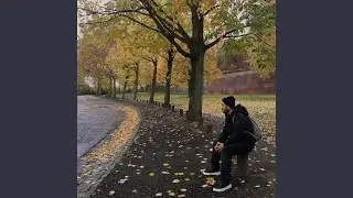 Sonbahar