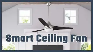 5 Best Smart Ceiling Fan