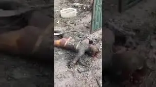 Жареные орки