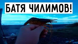 Ночная креветка \ как сварить КРЕВЕТКУ на природе