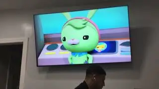 Los Octonautas Temporada 2 Episodio 15 El peces ballesta