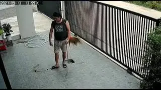 komik videolar