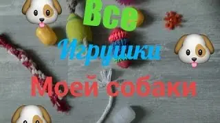 Toys my dog💜Игрушки моей собаки💜