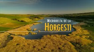 Microdelta de la Horgesti
