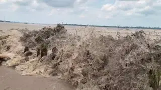 Tsunami River Tidal Waves 18 Oktober 2024